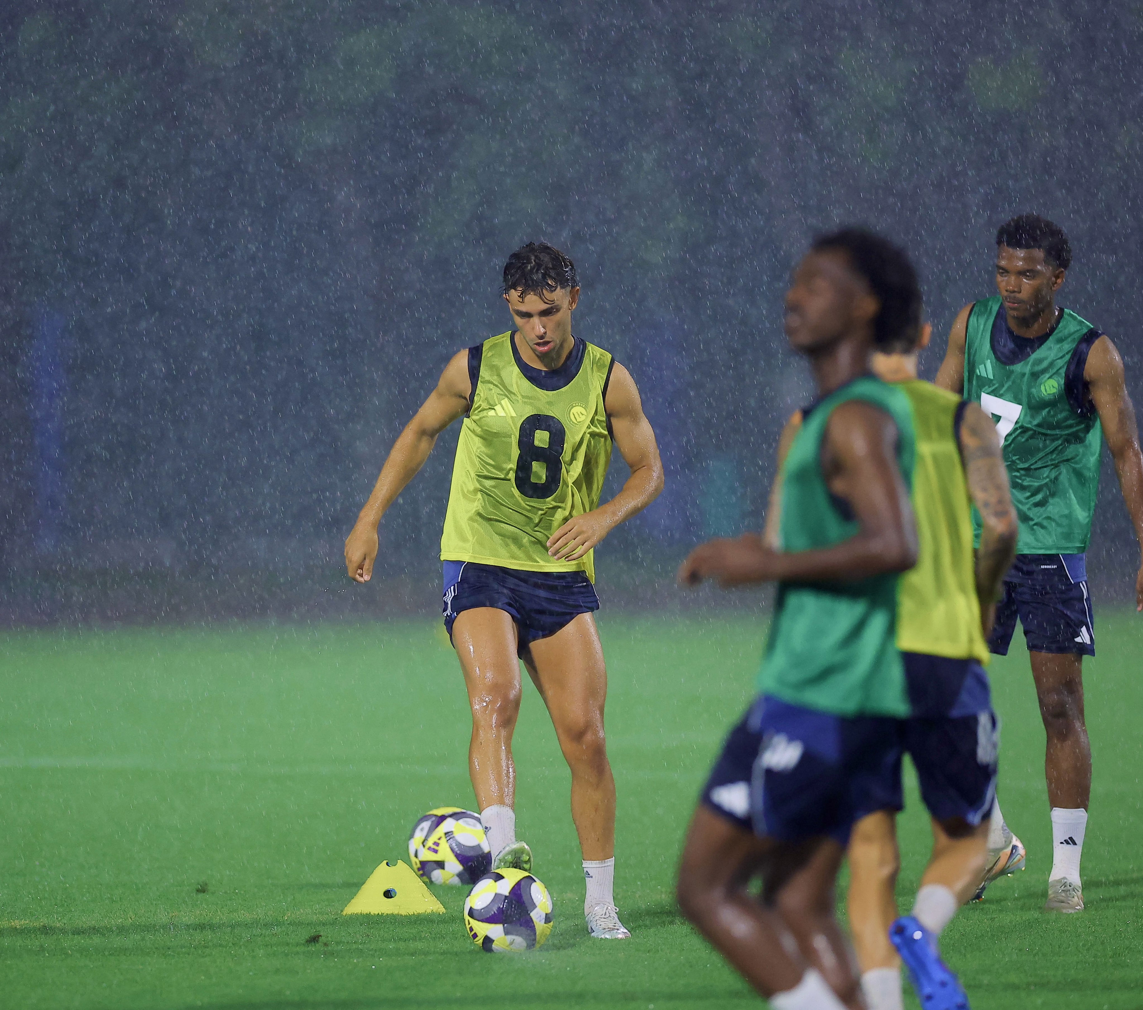 src, 发布训练图