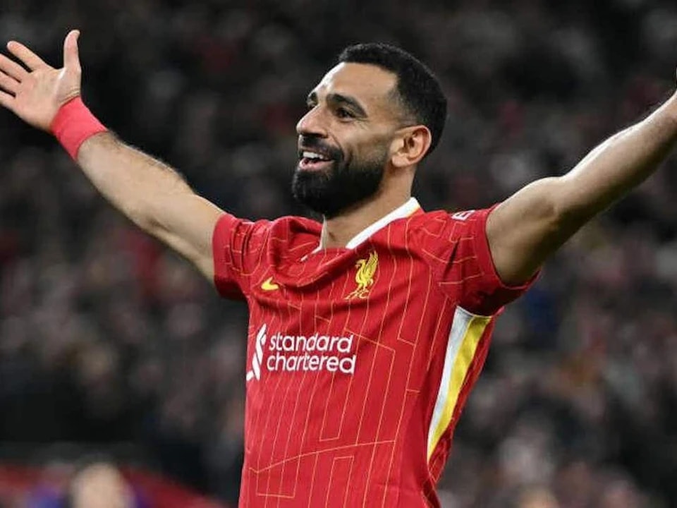 将他与沙特 将他与沙特