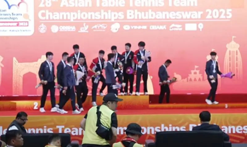 似乎在商量, amp, 大胖是我心